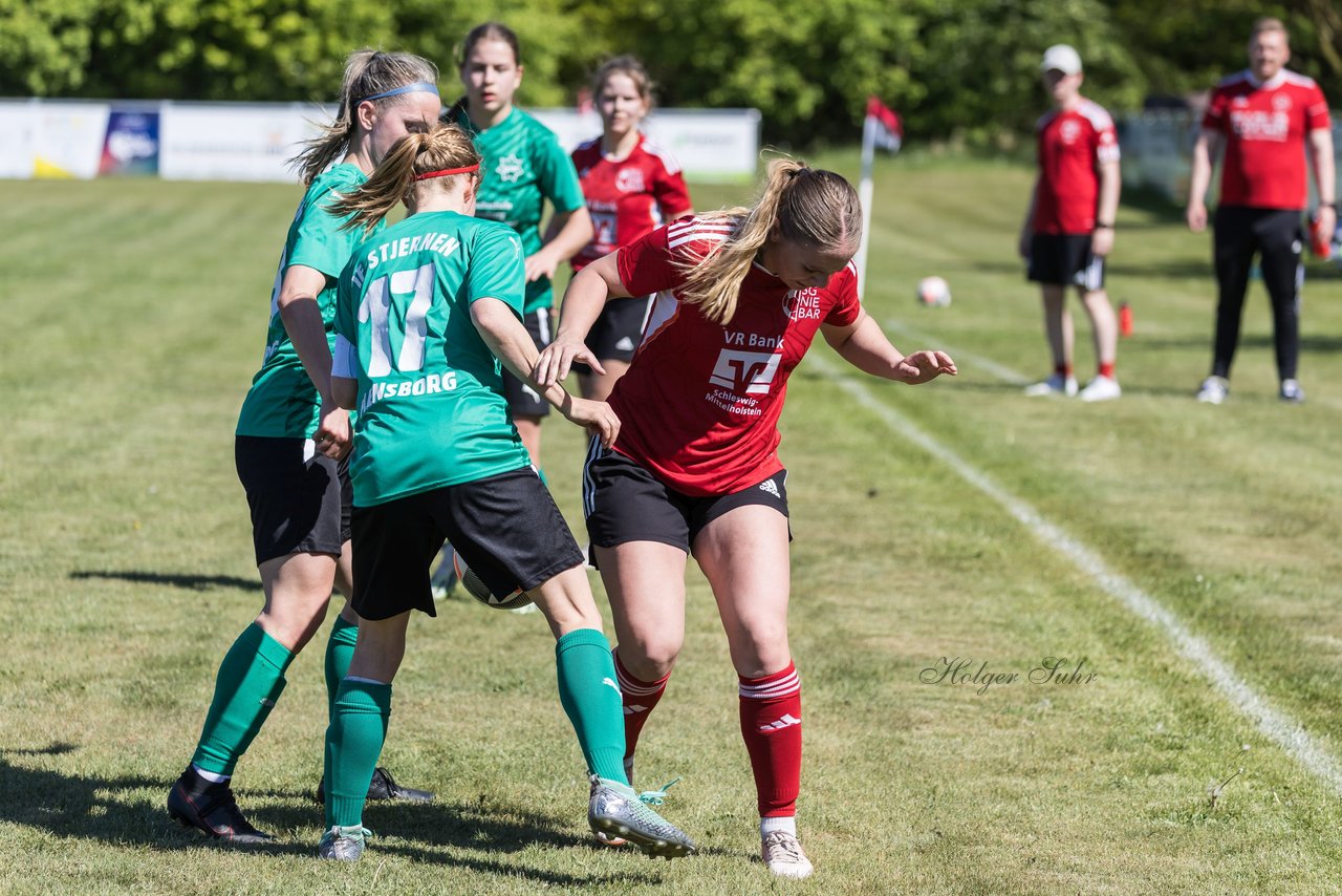 Bild 399 - F SG NieBar - IF Stjernen Flensborg : Ergebnis: 2:0